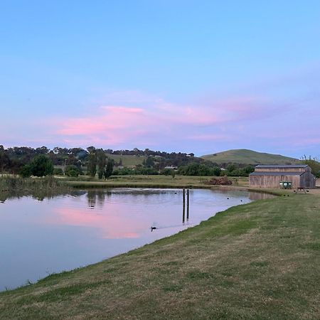 Mansfield Holiday Park المظهر الخارجي الصورة
